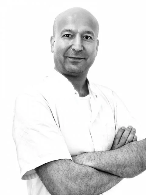Portret van Shekib